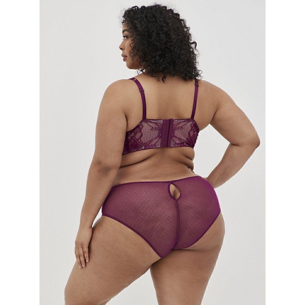TORRID HIPSTER PANTY DOT LACE KEYHOLE BACK PURPLE WOMEN PLUS SIZE 1X
